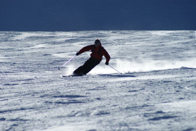 dsc00630.jpg